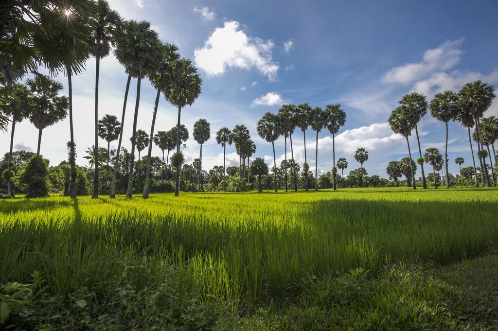 Champa Lodge Kampot Dış mekan fotoğraf