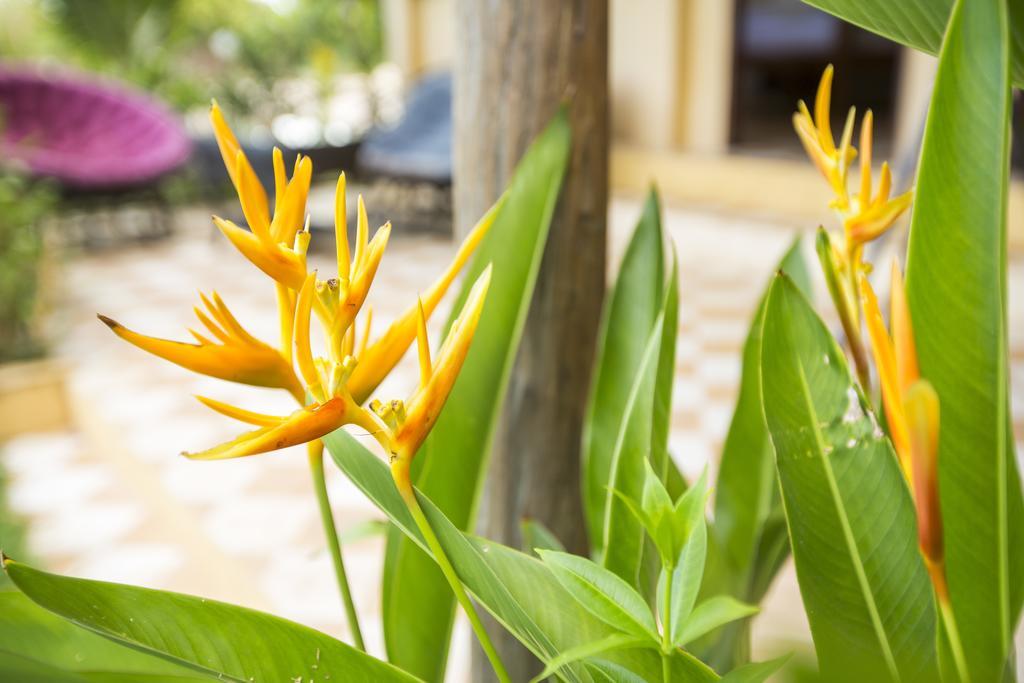 Champa Lodge Kampot Dış mekan fotoğraf