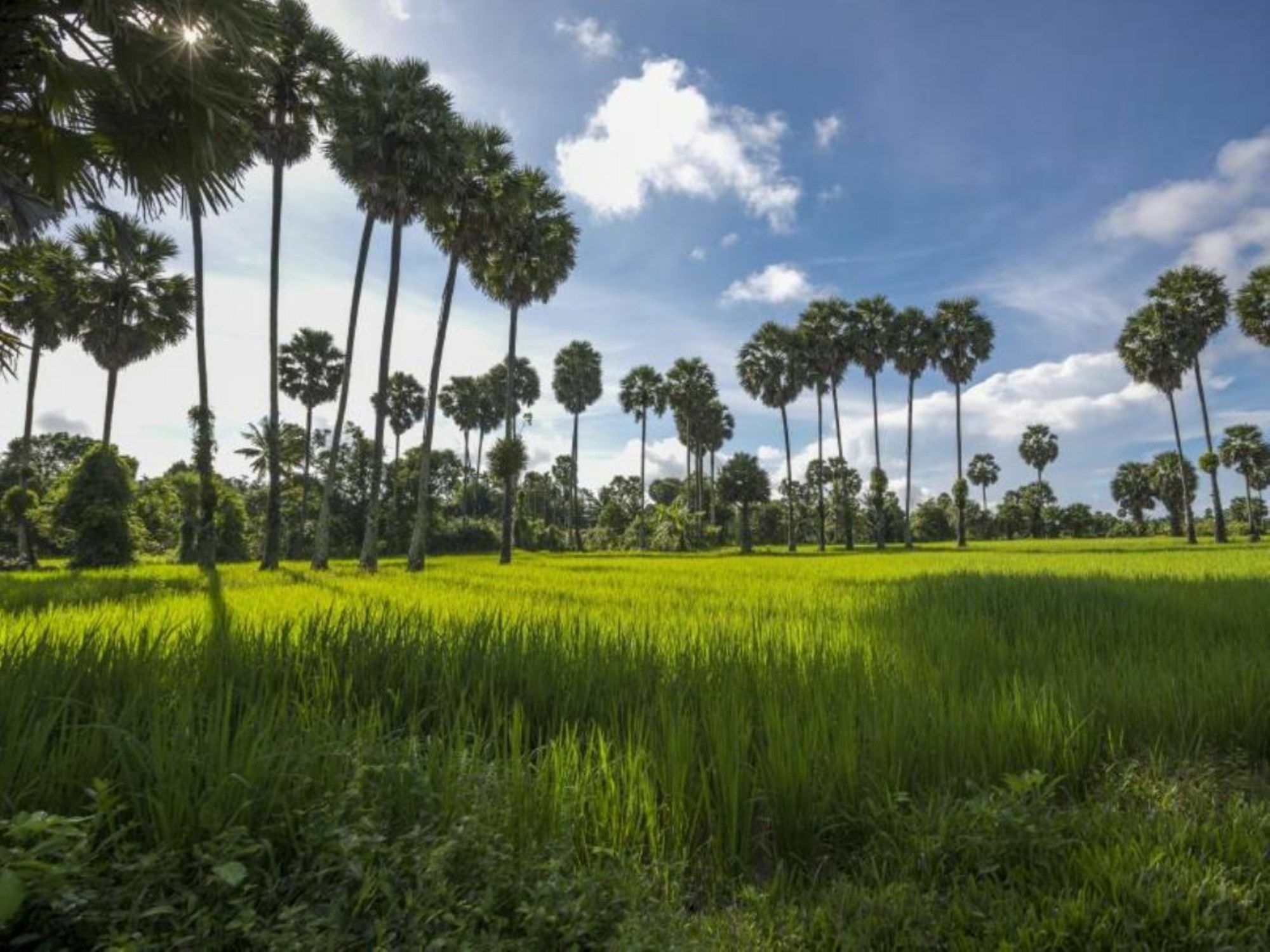 Champa Lodge Kampot Dış mekan fotoğraf